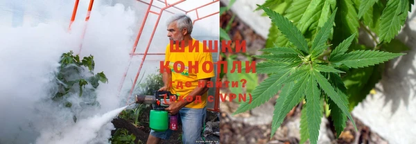 mdma Дмитров