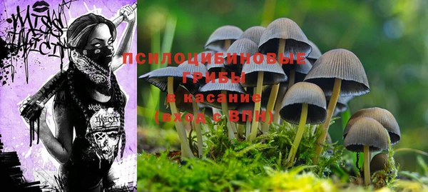 mdma Дмитров