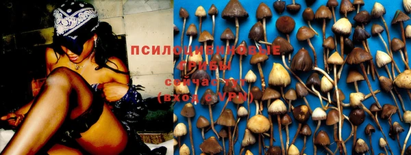 mdma Дмитров