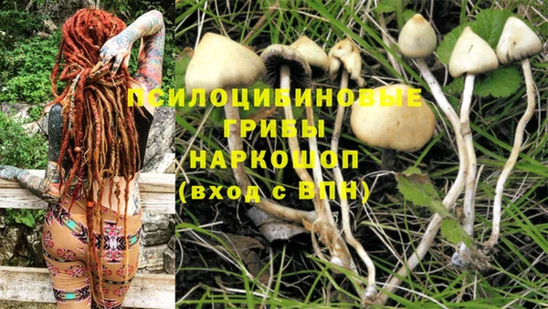 mdma Дмитров